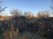 Index image