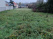 Index image