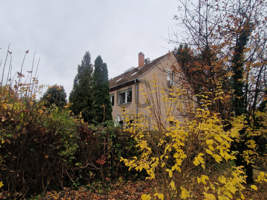 Index image