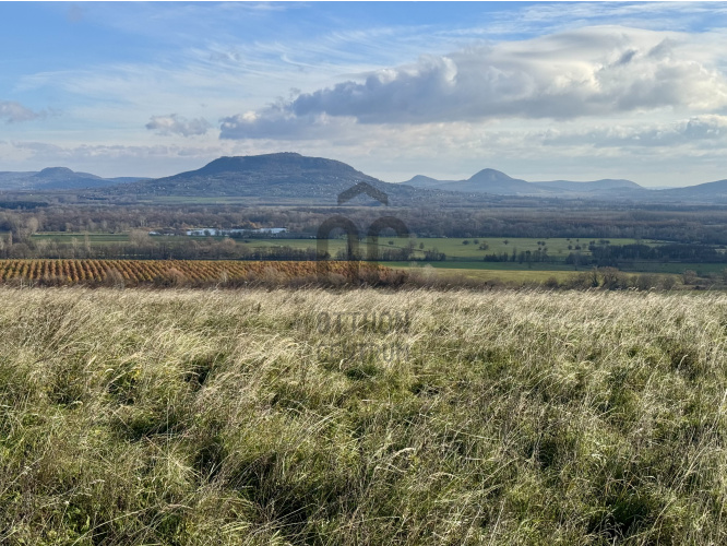 22528m² · Telek · 99.000.000 Ft
