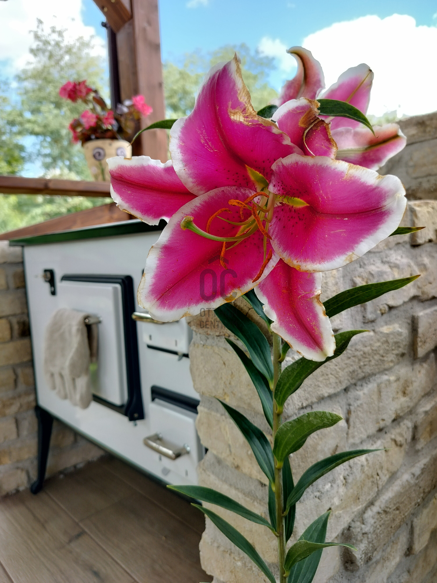 Gallery zoom image