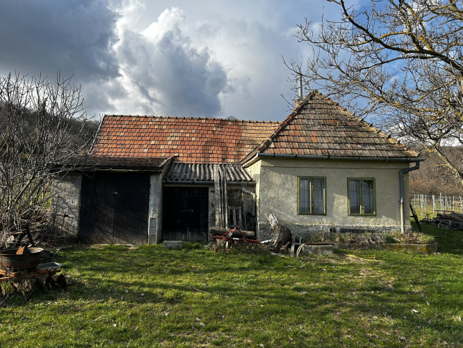 12982m² · Telek · 79.000.000 Ft