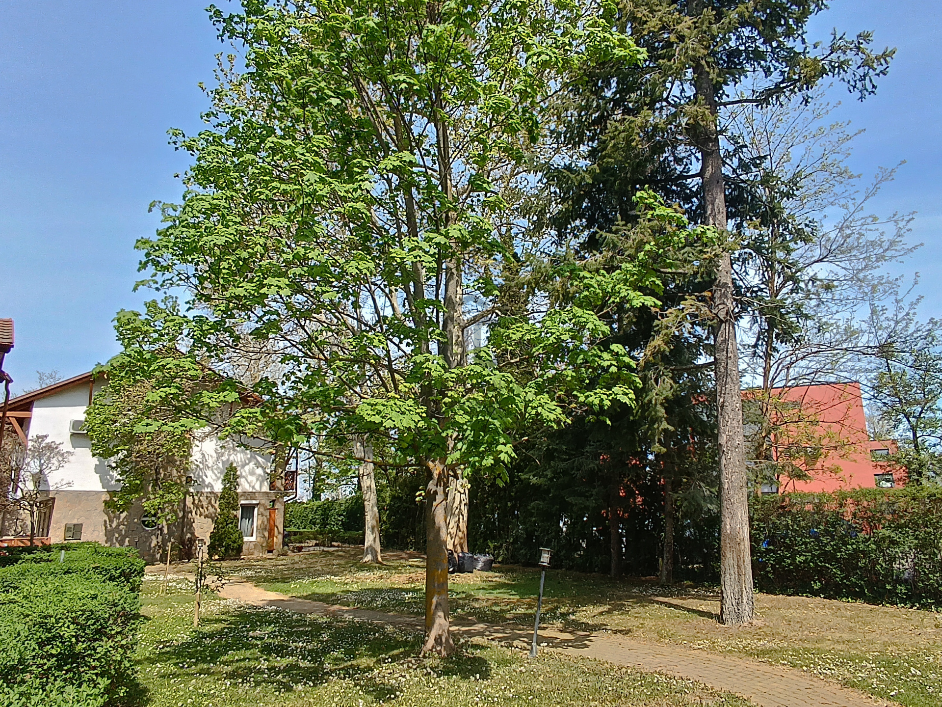 Gallery zoom image