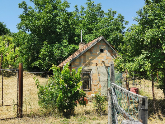 Index image
