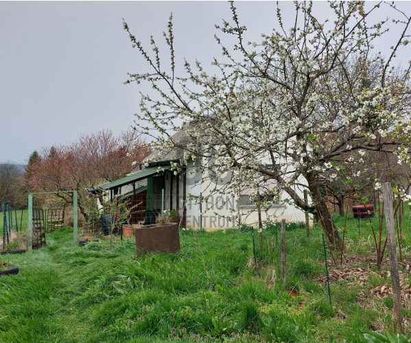 1 bed · 48m² · Nyaraló · 11.200.000 Ft