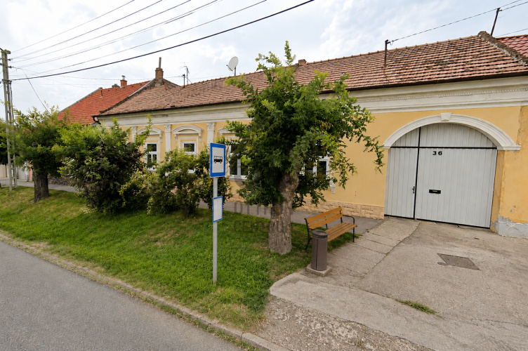DLK051977