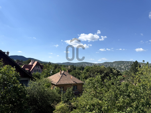 Index image