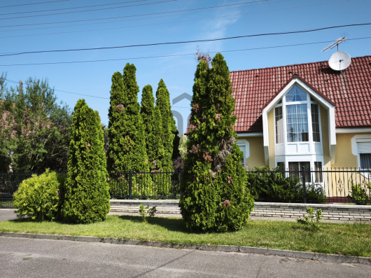 Index image