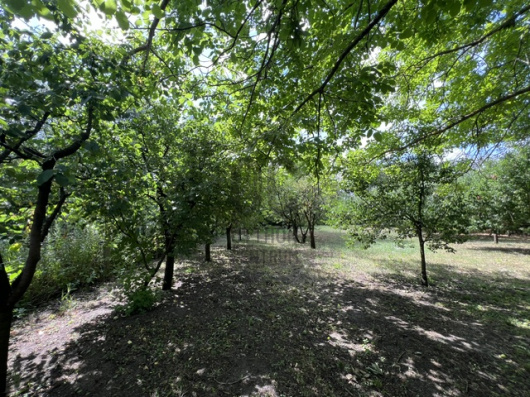 Index image