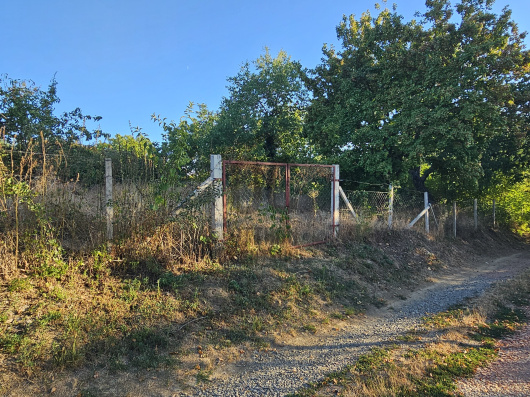 Index image