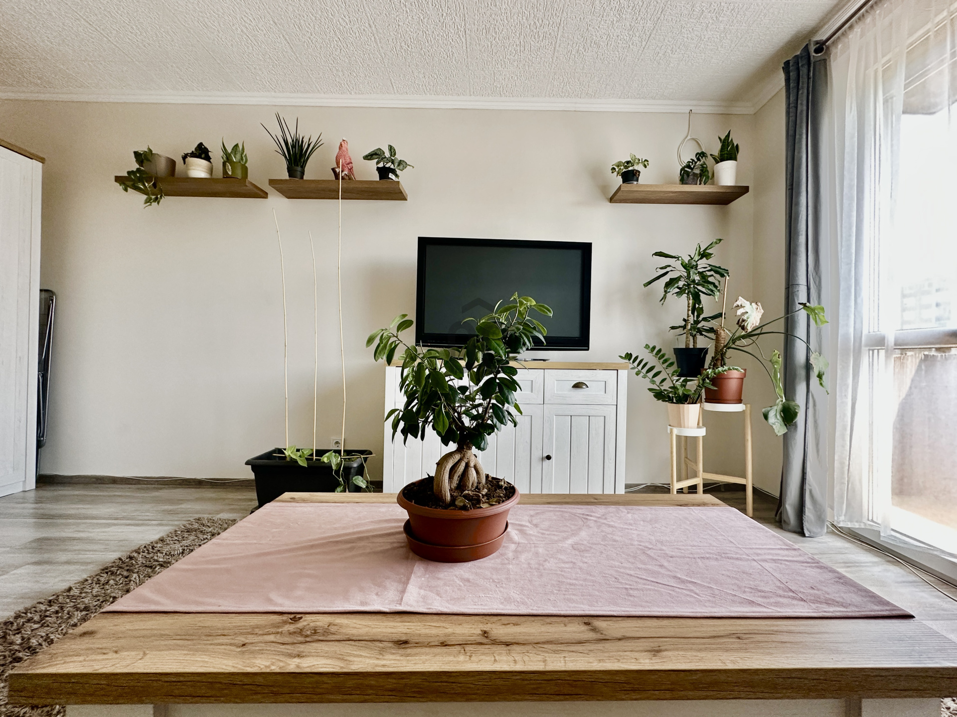 Gallery zoom image