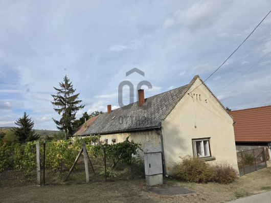 Index image